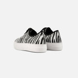 Vans zebra